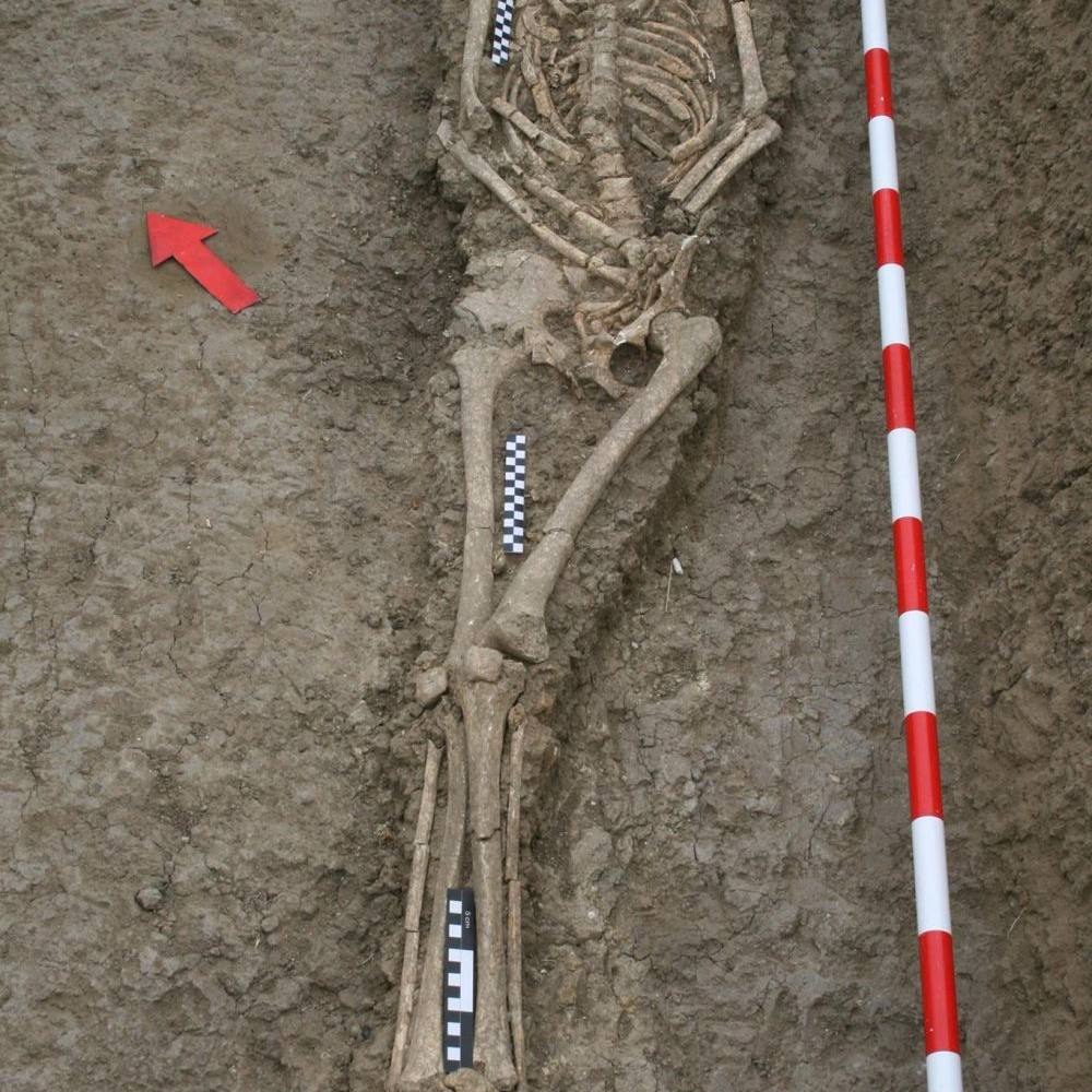 antropología forense 5
