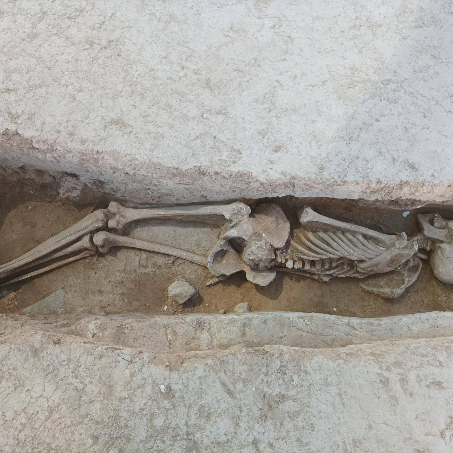antropología forense 8